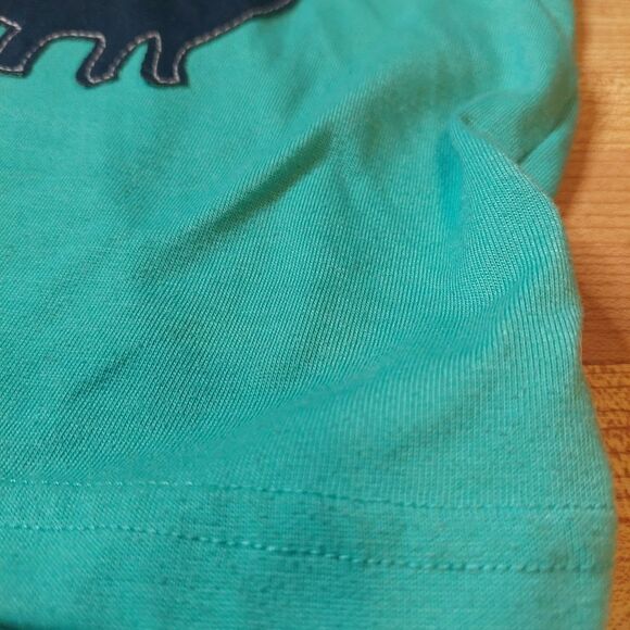 Kids Boys Dinosaur Pajama Set of 2 - Picture 6 of 8